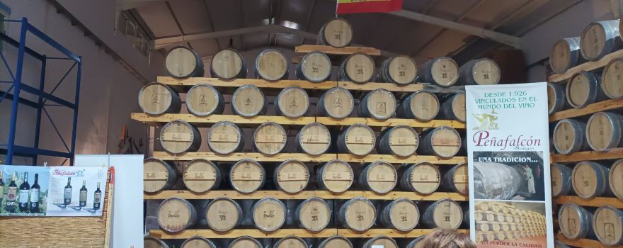 Bodegas Penafalcon