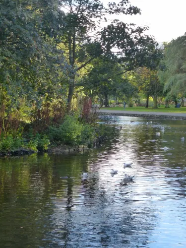 Ward Park
