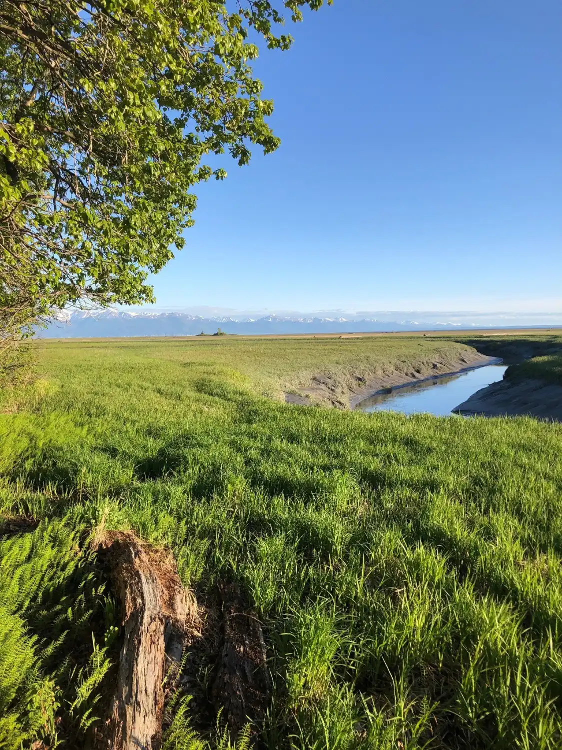 Hotel in zona Campbell Creek Estuary