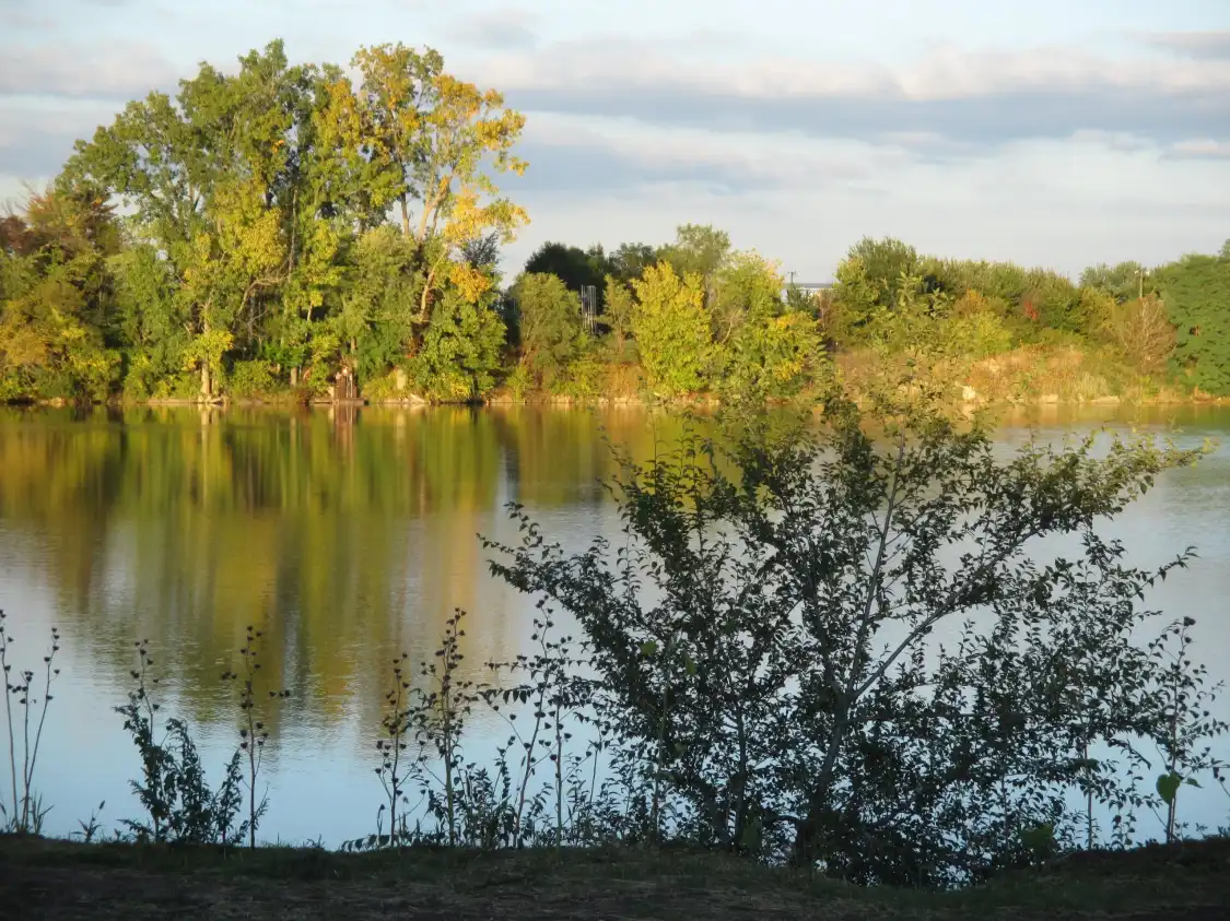 Fidler Pond Park附近的飯店
