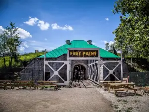 Fort Paint