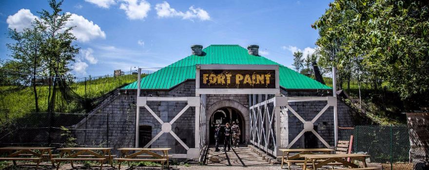 Fort Paint