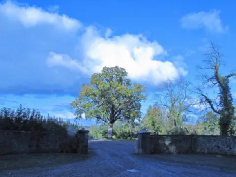 National Trust - Ardress House