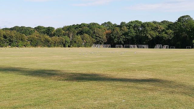 Valbyparken Naturlegeplads