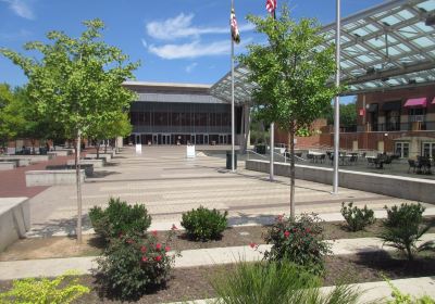 Silver Spring
