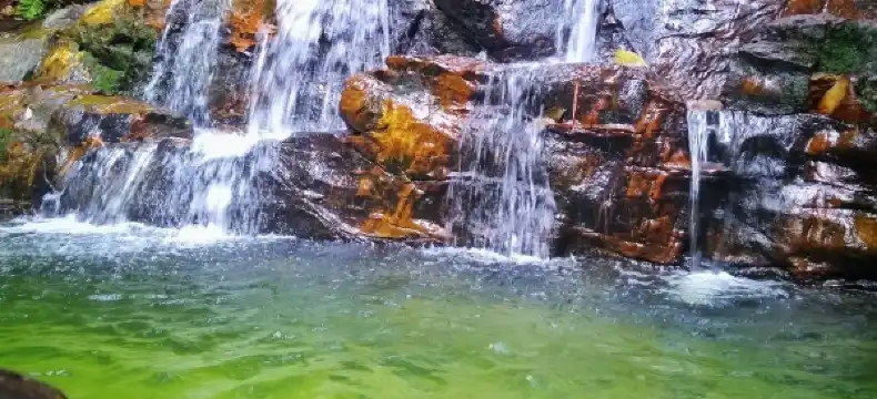 Hotels near Kinrara Metta Buddhist Society