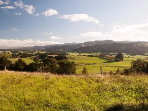 Fensham Bush Reserve