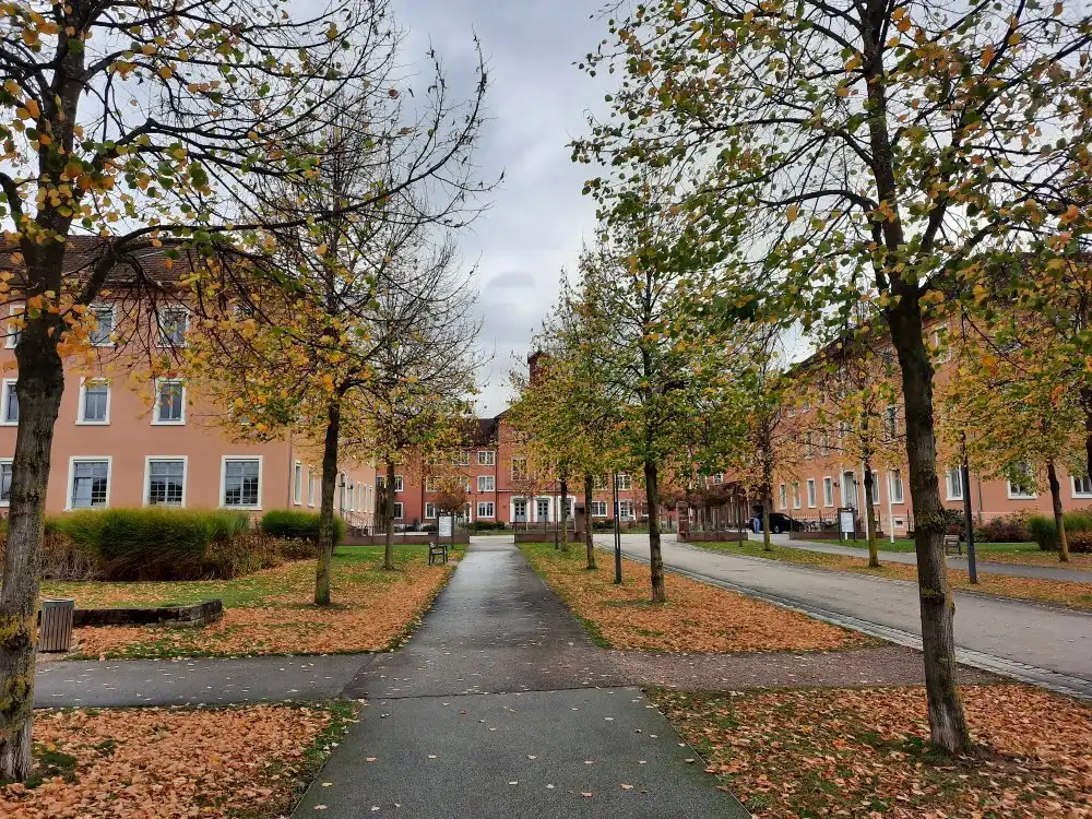 Hotels in der Nähe von Illenauer Waldfriedhof