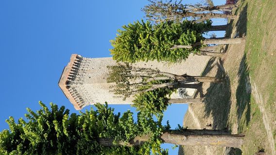 Murazzano