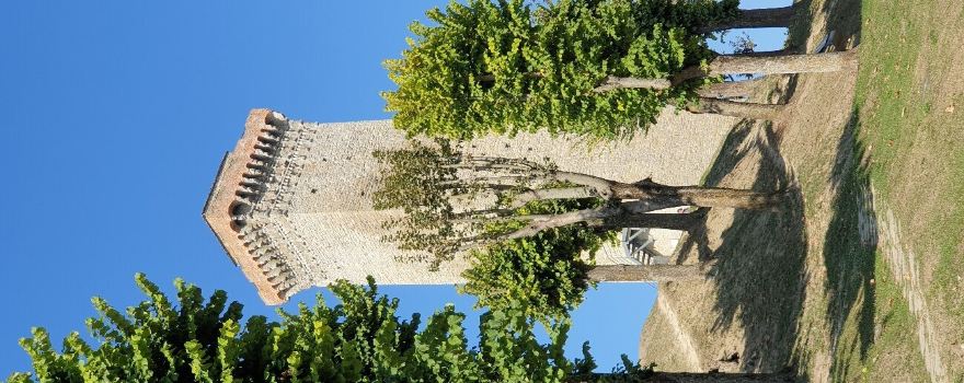 Torre