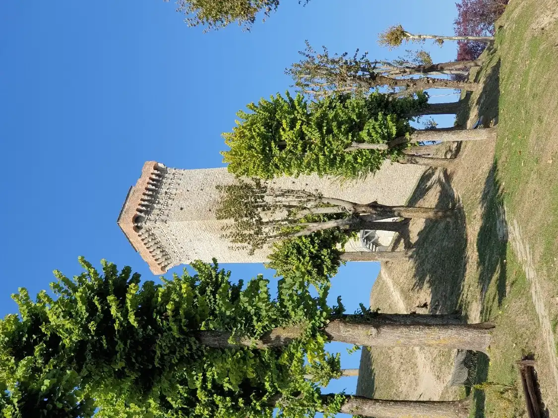 Hotels near Torre