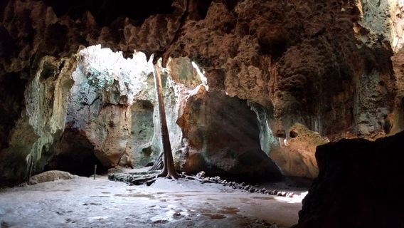 Shimoni Slave Caves