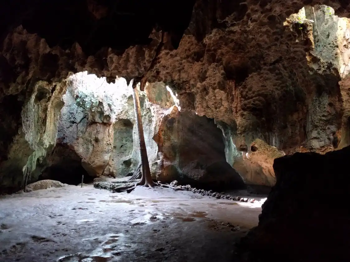 Hotels near Shimoni Slave Caves