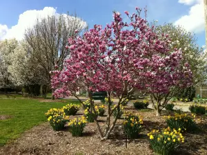 Boone County Arboretum