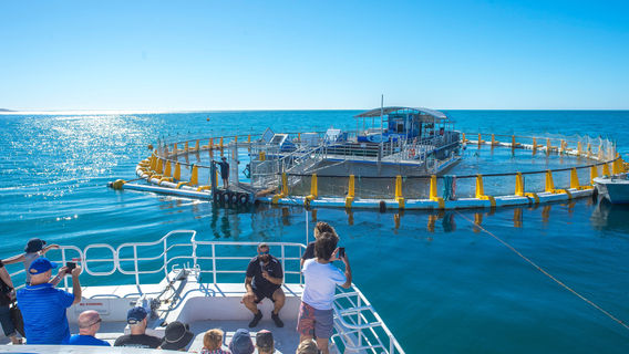 Victor Harbor