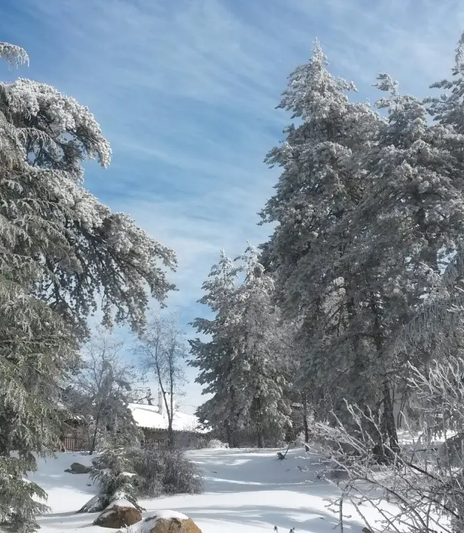 Troodos Mountains