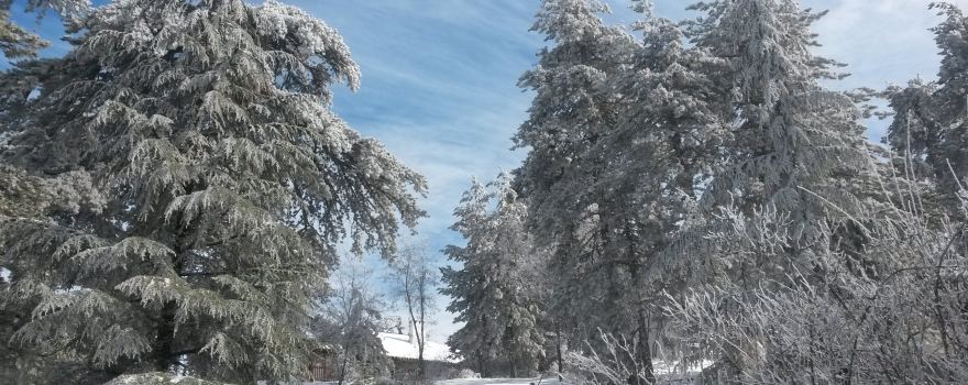 Troodos Mountains