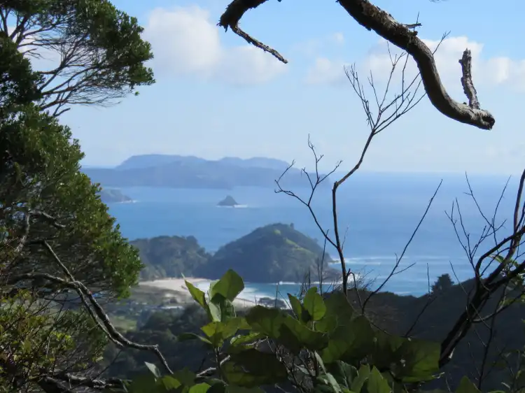 Hotels in Great Barrier Island