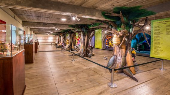 Poliforum Mier y Pesado