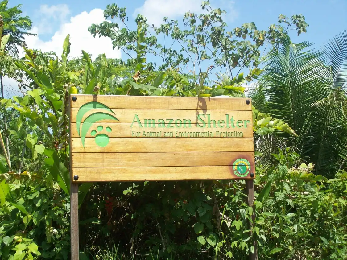 Hotels near Amazon Shelter