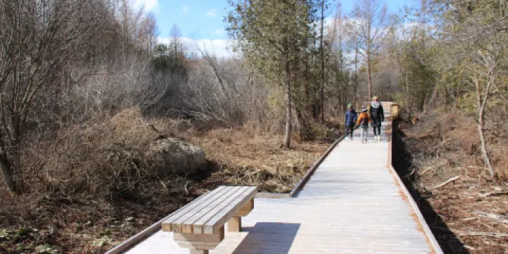 Findlay Creek Boardwalk