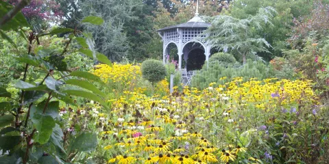 Un jardin à Landrevarzec