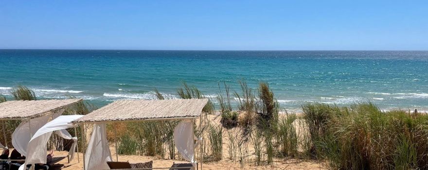 Harundo Mare