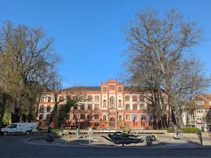 Rostock Altstadt