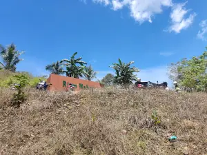 Wisata Riam Mahoni