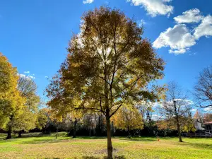 Belk-Tonawanda Park