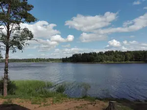 Dol "Yunyy Zheleznodorozhnik"