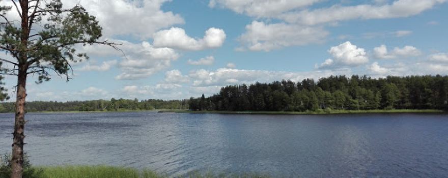 Dol "Yunyy Zheleznodorozhnik"