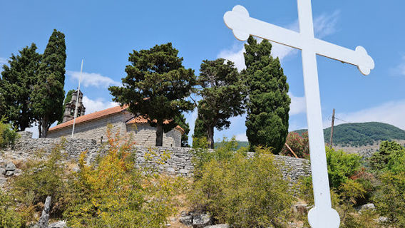 Bijela
