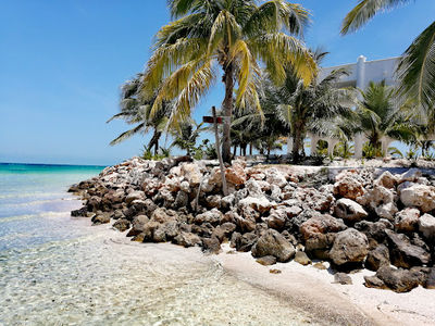 Holbox