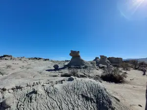 Valle Pintado (Valle de la Luna) Pque Prov. Ischigualasto