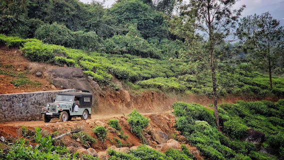 Wayanad Adventure Park, Chellotte