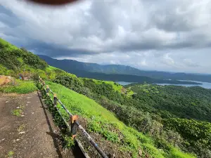 View Point