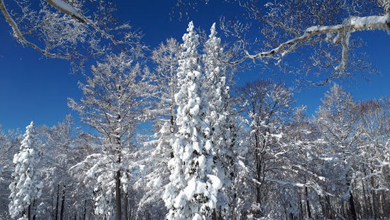 Hikage Gondola Station