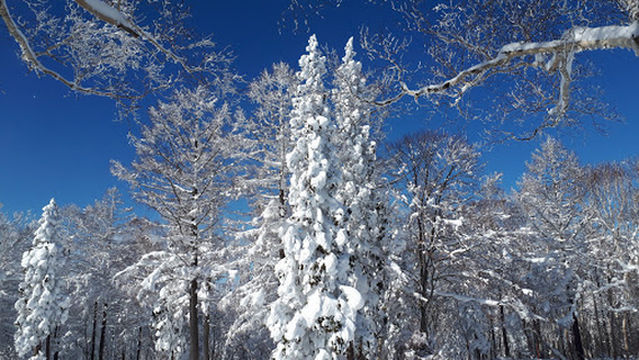 Hikage Gondola Station