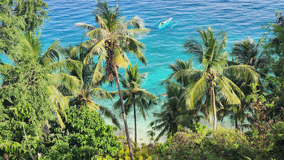 Oslob Macaque Sanctuary