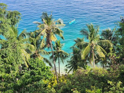 Oslob Macaque Sanctuary