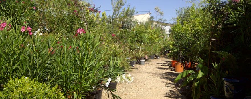 L' Jardine