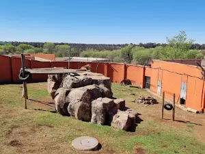 Animal World Game Park & Zoo