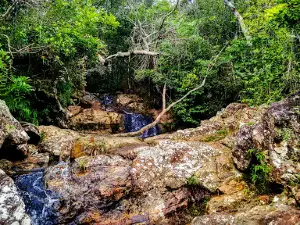 Paradise waterfall