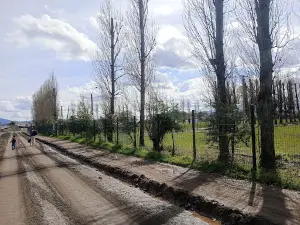 Парк Мунисипаль, Сан Висенте Де Тагуа Тагуа