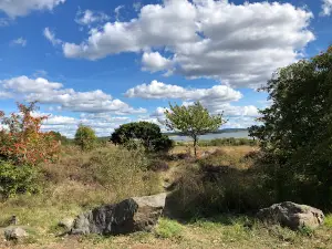 Grimsholmens naturreservat