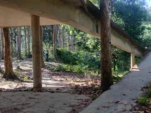 Nature Park,Damdamia Teknaf Wildlife Sanctuary
