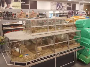 Welkoop Leeuwarden-West