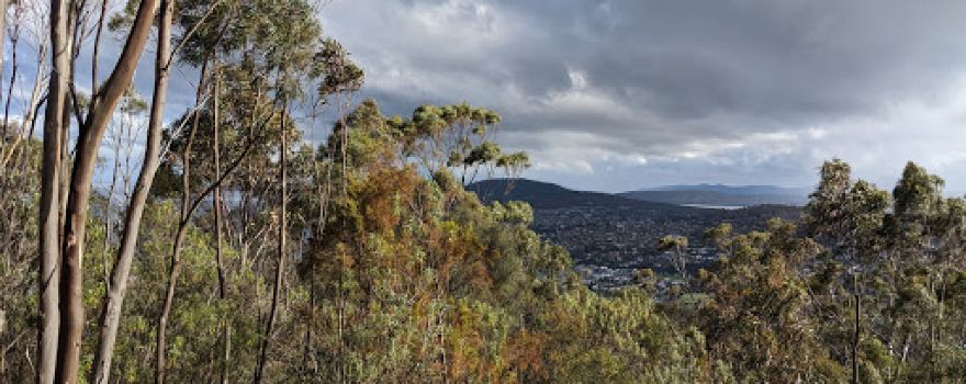 Bonnet Hill Lookout