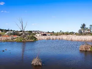 Willow Dam